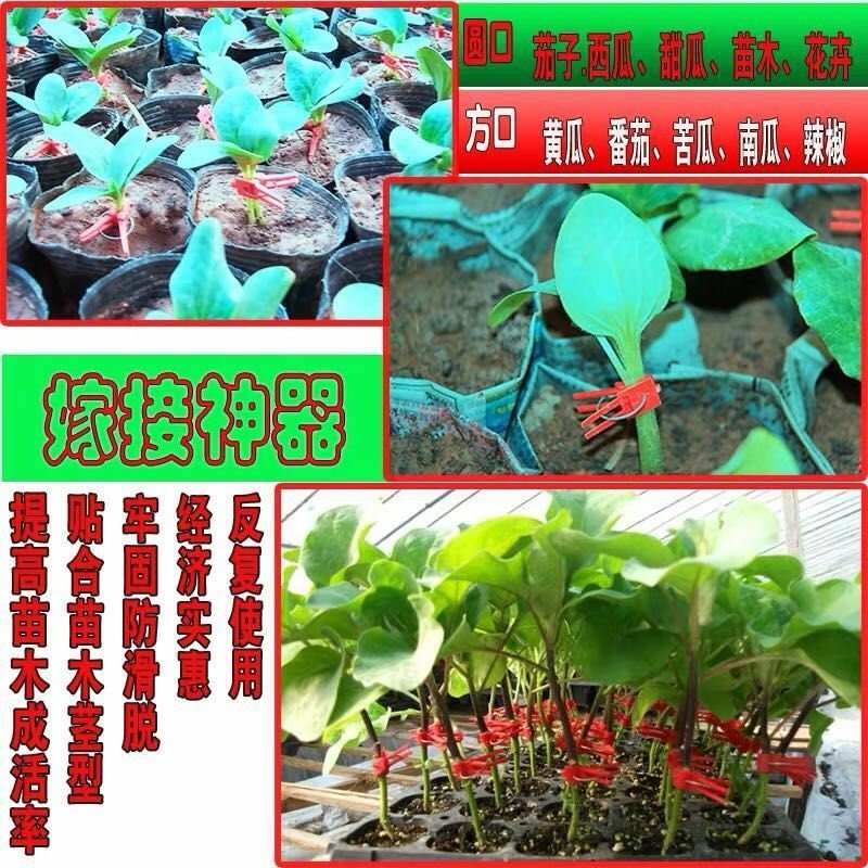嫁接夹黄瓜辣椒西瓜蔬菜嫁接夹子圆口平口嫁接专用新款嫁接夹
