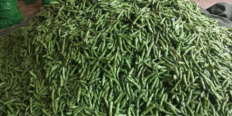 大量