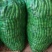 大量