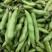 大量