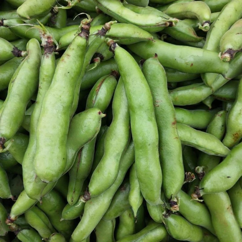 大量