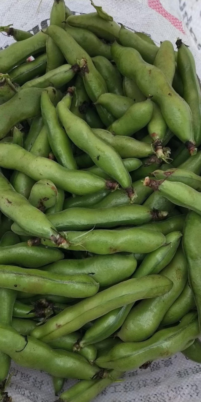 大量