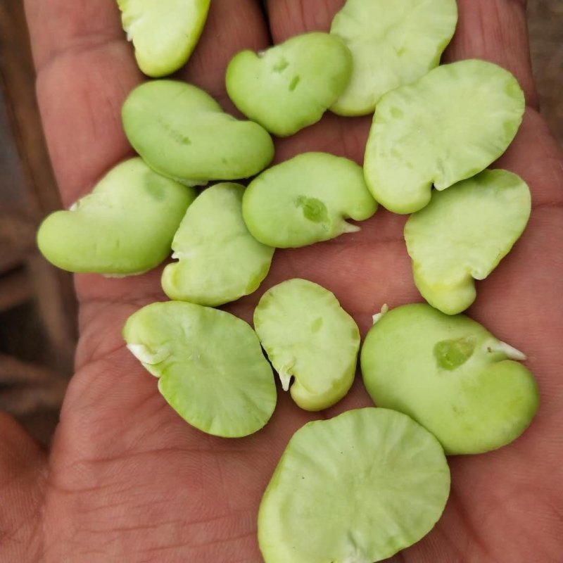 大量