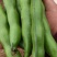 大量