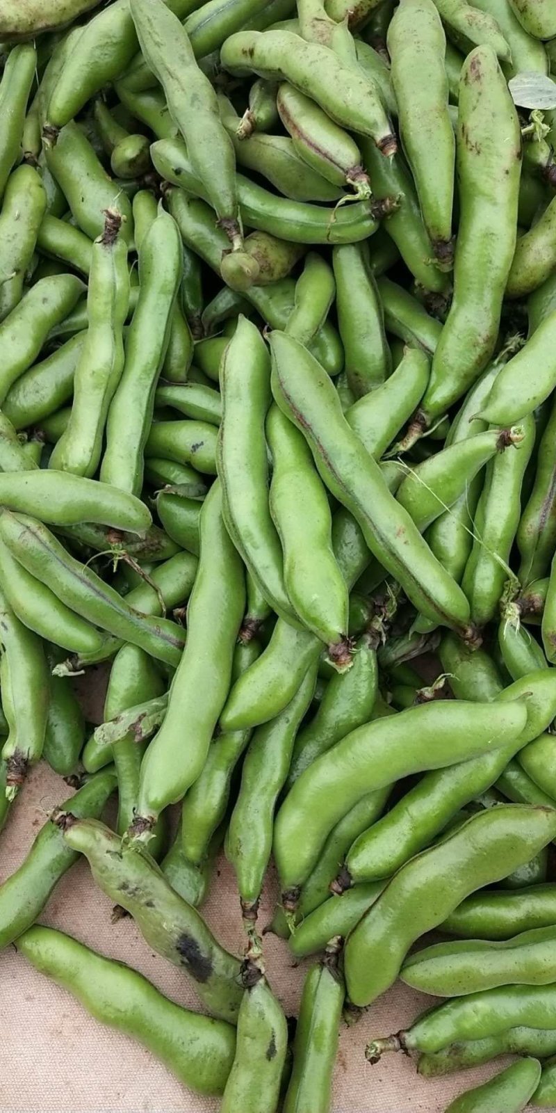 大量