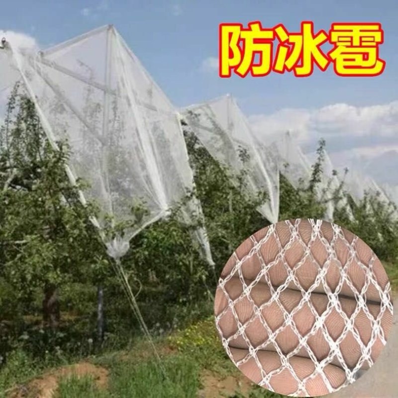 葡萄园防雹网果园苹果园防鸟网防冰雹网0.8厘米孔