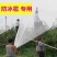 葡萄园防雹网果园苹果园防鸟网防冰雹网0.8厘米孔