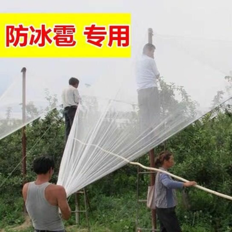 葡萄园防雹网果园苹果园防鸟网防冰雹网0.8厘米孔