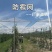 葡萄园防雹网果园苹果园防鸟网防冰雹网0.8厘米孔