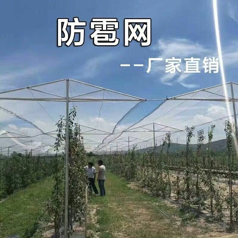 葡萄园防雹网果园苹果园防鸟网防冰雹网0.8厘米孔