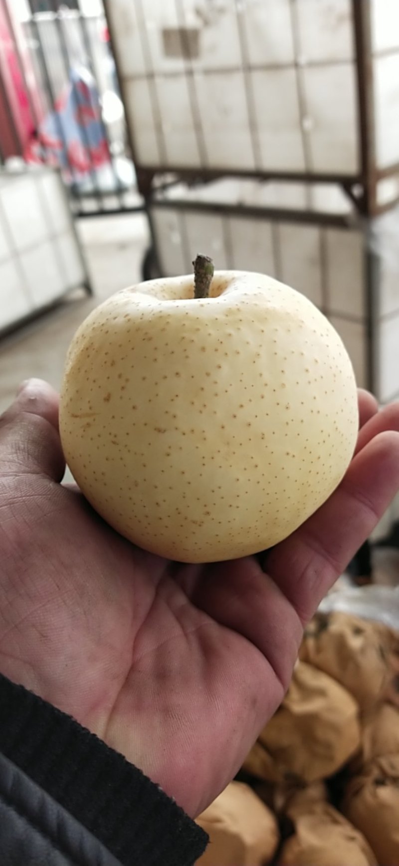 青岛莱西市