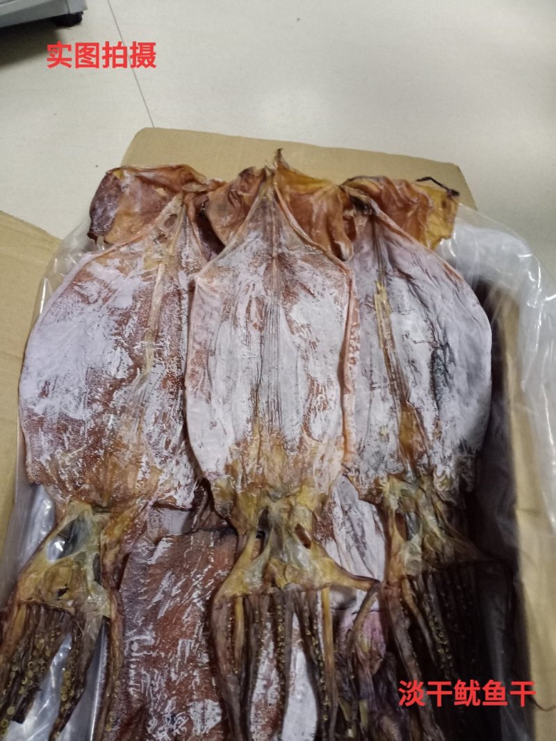 淡干鱿鱼干，一箱20斤，淡干鱿鱼干，干货野生500g克