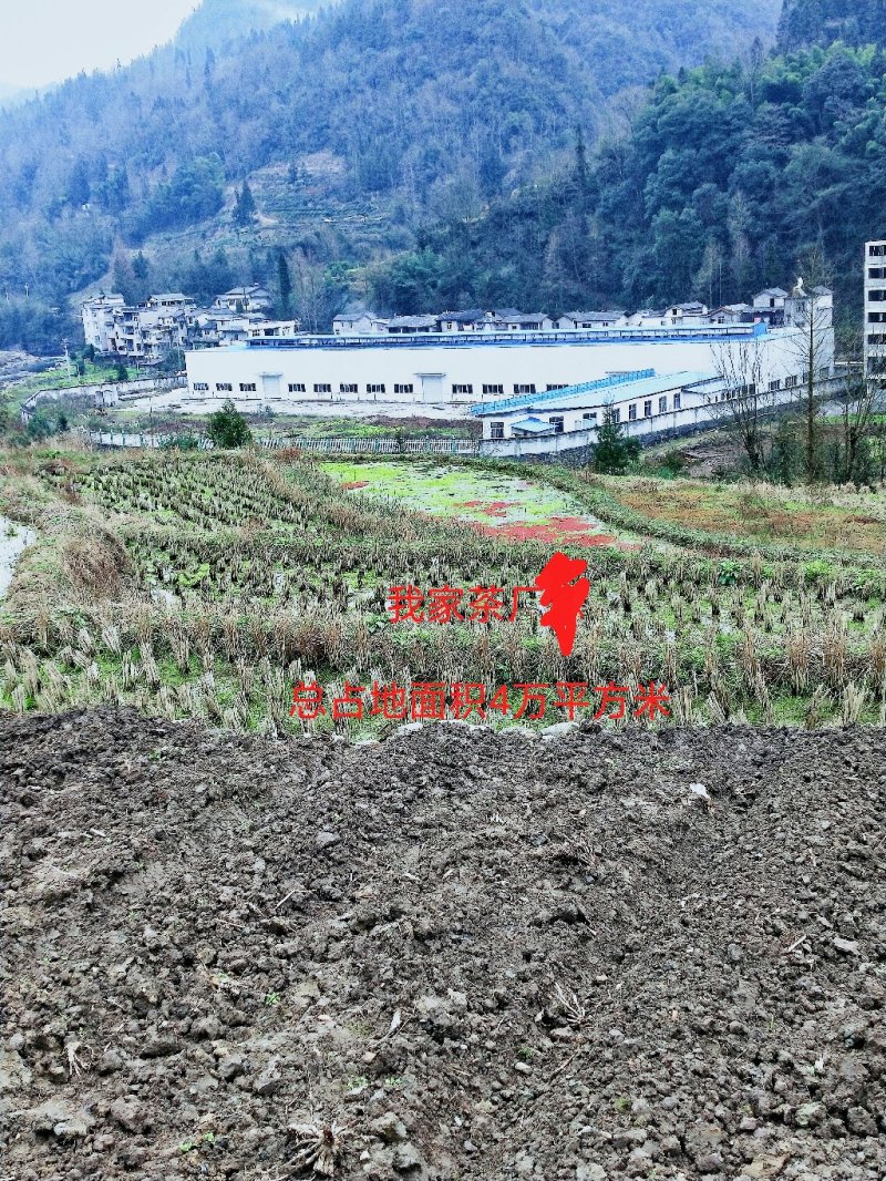 厂房出租或召商投资