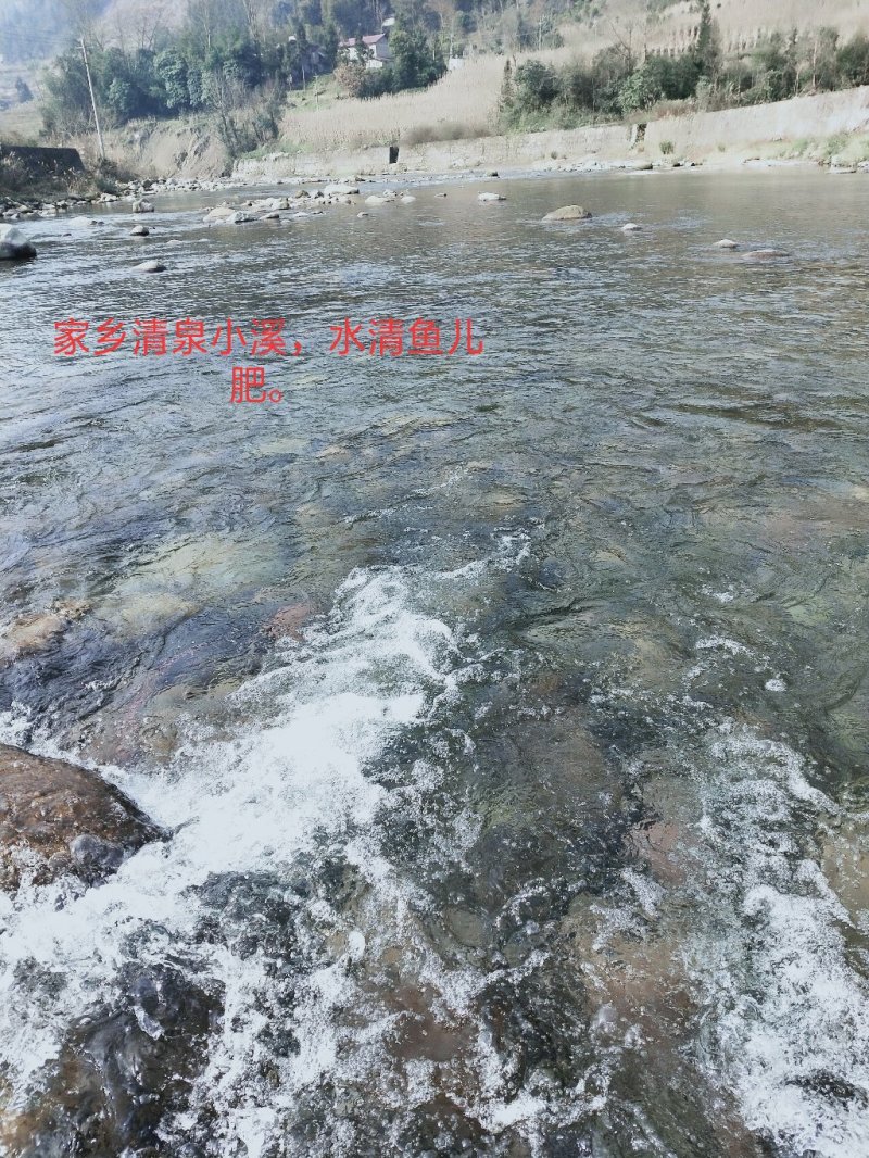 厂房出租或召商投资