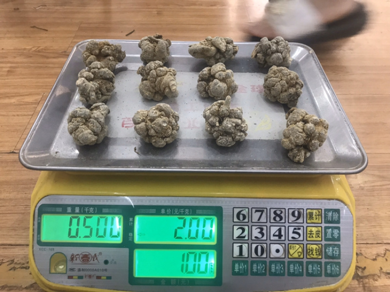 云南三七自种自销精选优质水洗足干戴帽三七
