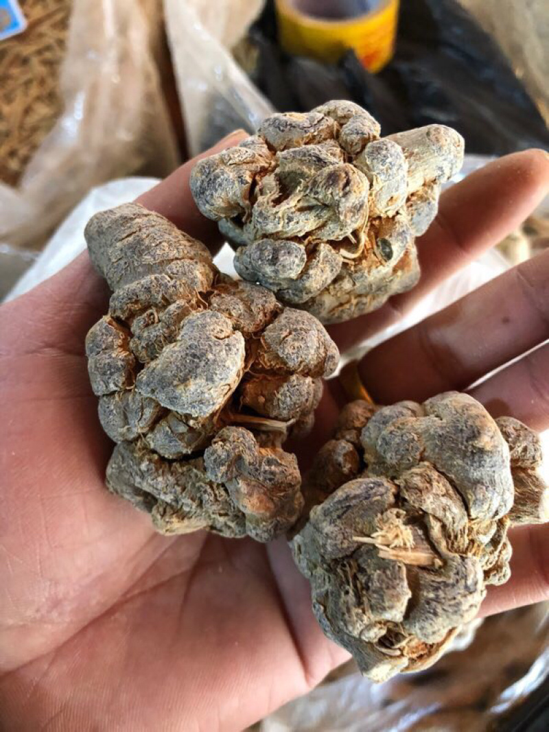 云南三七自种自销精选优质水洗足干戴帽三七