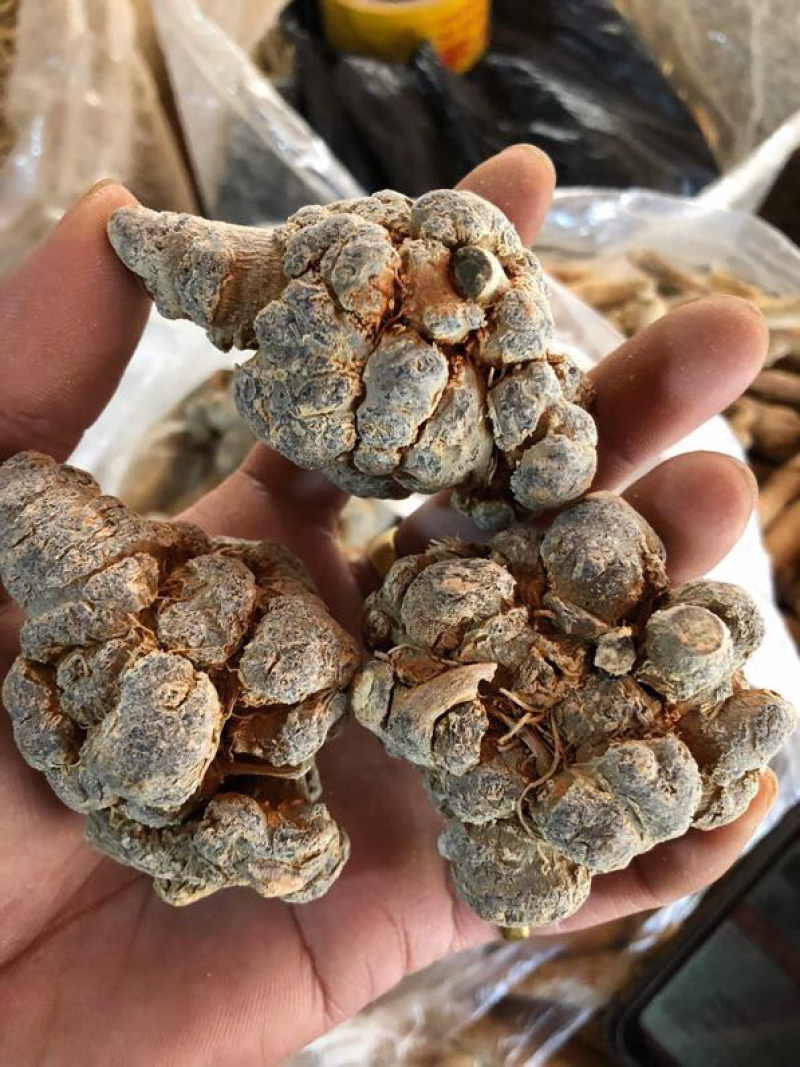 云南三七自种自销精选优质水洗足干戴帽三七