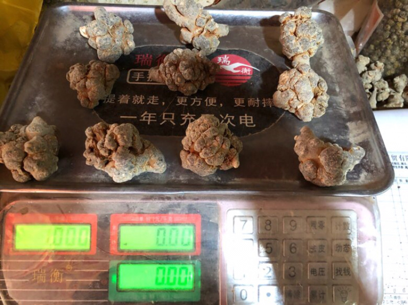 云南三七自种自销精选优质水洗足干戴帽三七