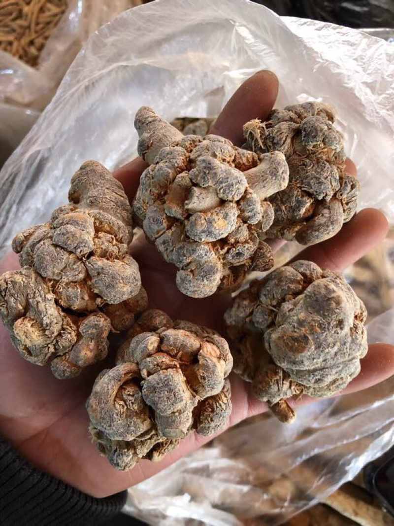 云南三七自种自销精选优质水洗足干戴帽三七