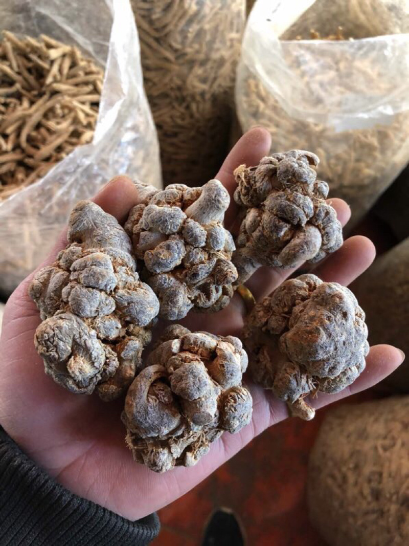 云南三七自种自销精选优质水洗足干戴帽三七