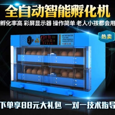 孵化机全自动小型家用型水床孵蛋器