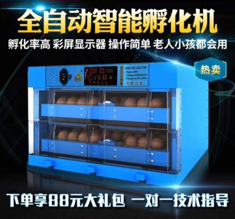 孵化机全自动小型家用型水床孵蛋器