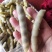 油豆角