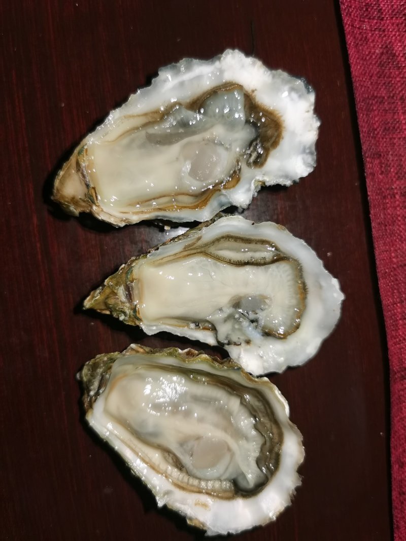 社区团购电商微商一口蚝网红带生蚝，可定制一件代发