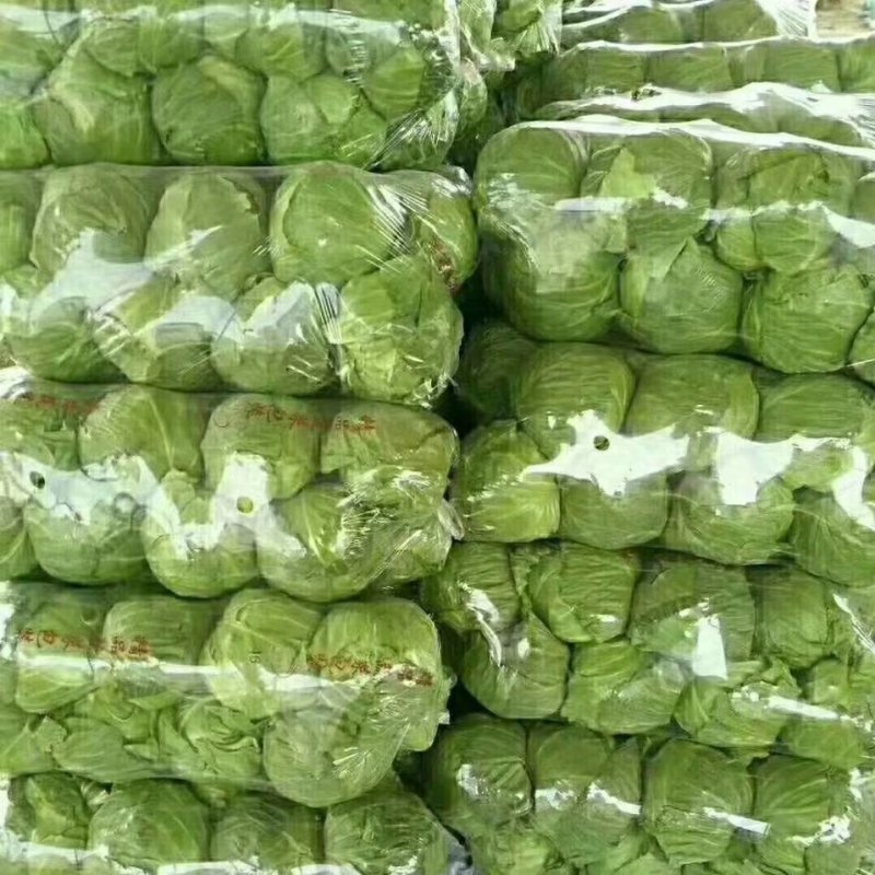 精品甘蓝河北甘蓝口感好产地直供量大从优价格优惠