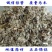 火绒草，常年批发供应野生中药材火绒草量大从优