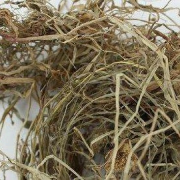 水蜈蚣，常年批发供应野生水蜈蚣草中药材