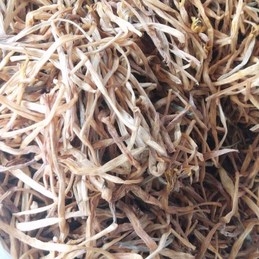 甘针菜