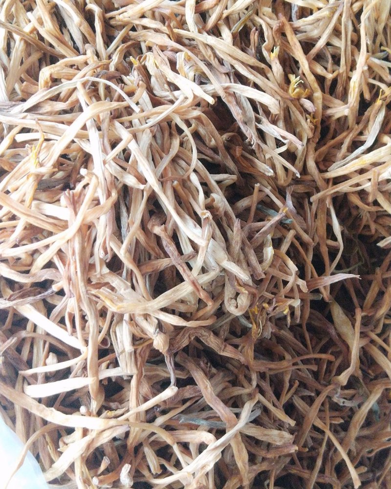 甘针菜