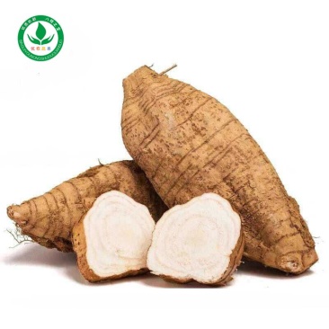 新鲜粉葛根广西无渣菜葛根煲汤靓料