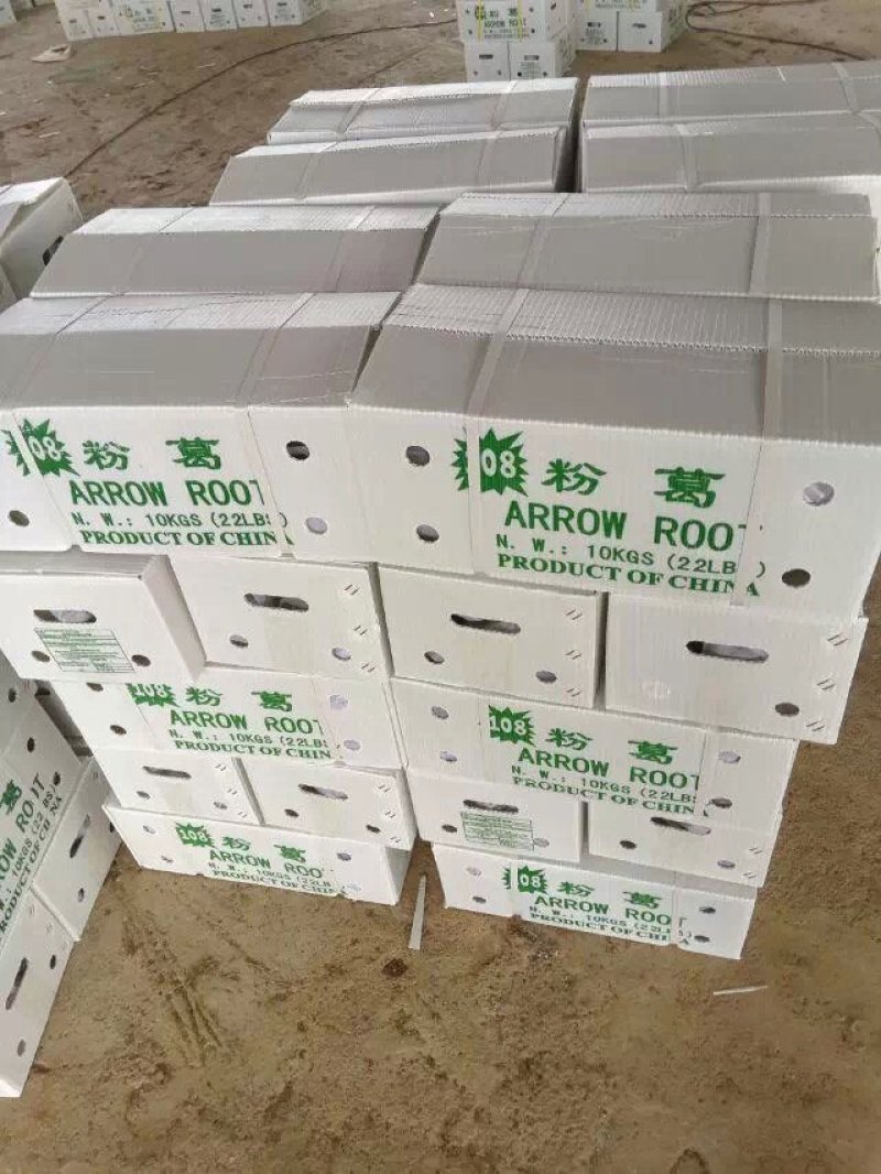 新鲜粉葛根广西无渣菜葛根煲汤靓料