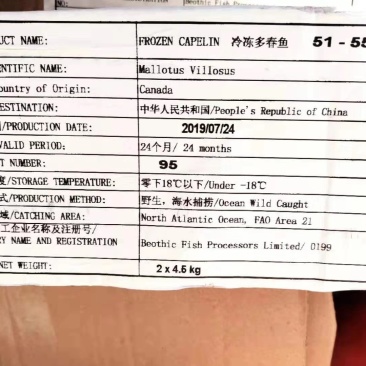 多春鱼