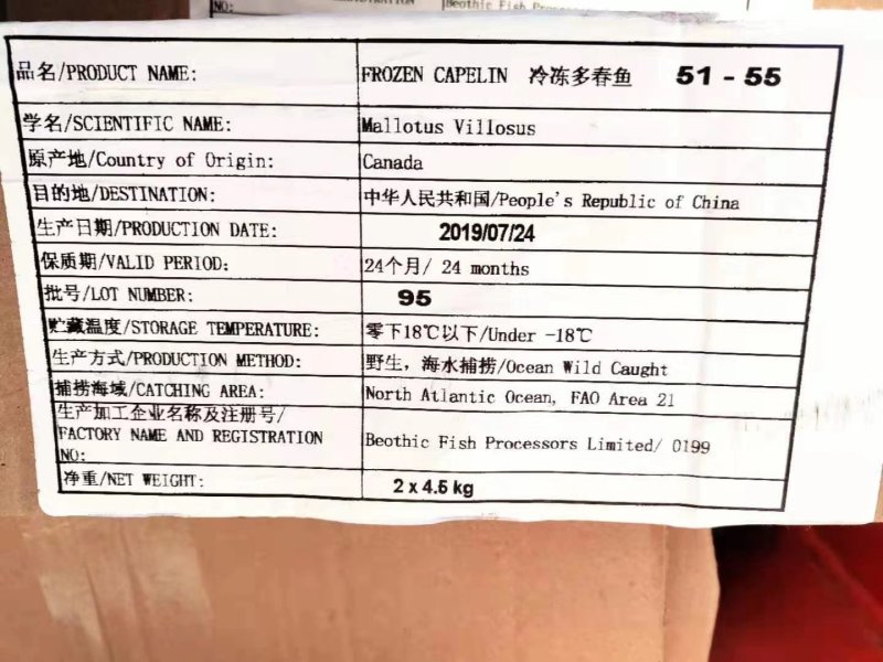 多春鱼