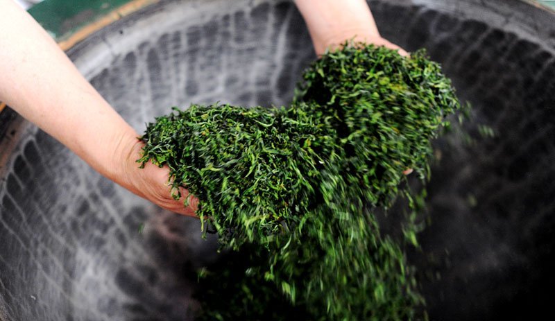 茶叶古丈毛尖茶38一斤（全国包邮）批发绿茶红茶