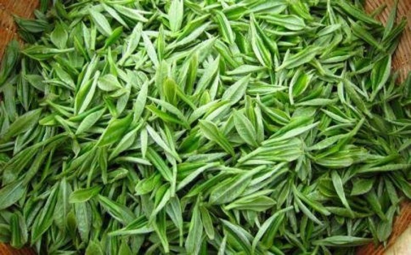 茶叶古丈毛尖茶38一斤（全国包邮）批发绿茶红茶