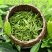 茶叶古丈毛尖茶38一斤（全国包邮）批发绿茶红茶