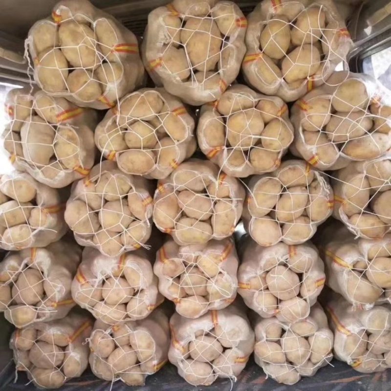 精品土豆，货源充足，质量有保障，