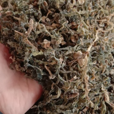 黄梅菜丝芥菜梅干菜丝雪里蕻黄梅一件50斤菜