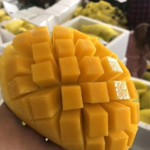 大台农芒果超高回购率