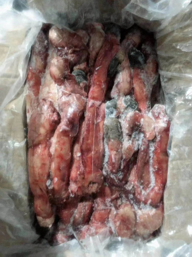 驴鞭:熟驴鞭，鲜驴鞭（光杆，全套都有），冻鞭，干鞭