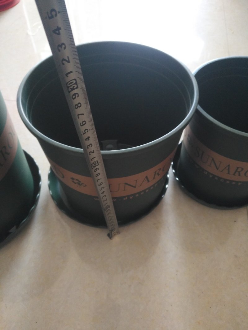 爆款加仑盆做工精细质量好经久耐用适合各种花卉搭配各种型号