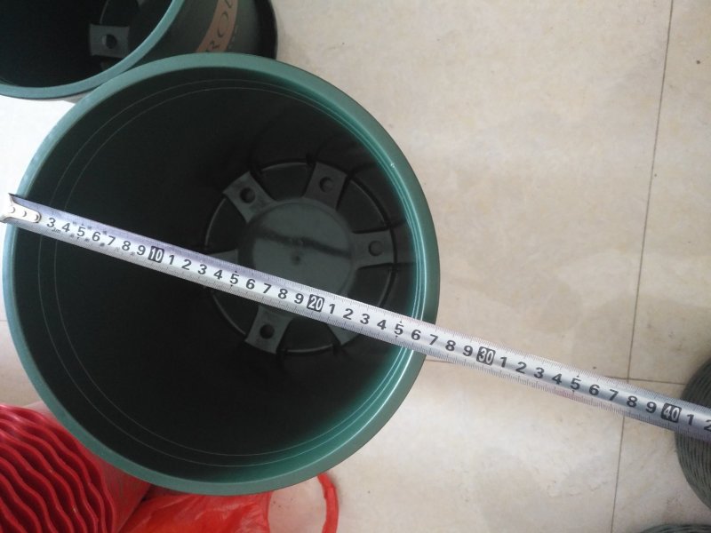 爆款加仑盆做工精细质量好经久耐用适合各种花卉搭配各种型号