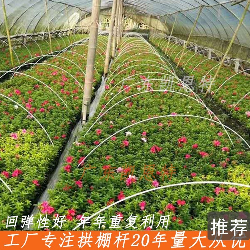 工厂批发玻璃纤维杆西瓜、冬瓜保温56789mm拱棚杆弓子