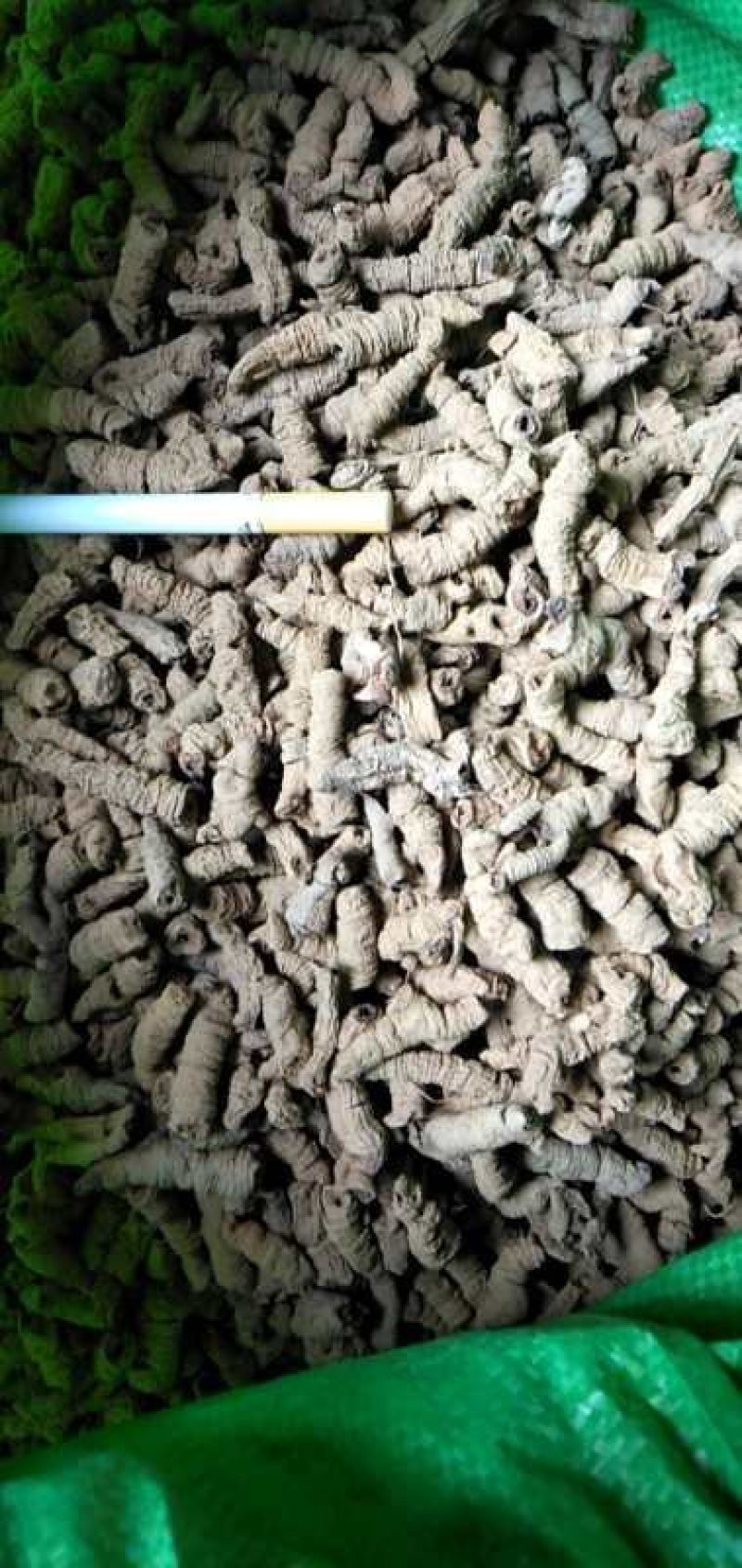 巴戟天干货，已抽芯，干品