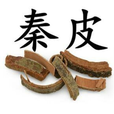 秦皮，常年批发供应秦皮中药材
