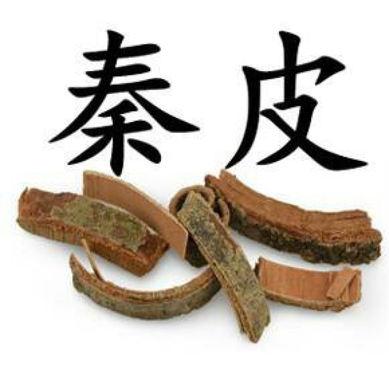 秦皮，常年批发供应秦皮中药材